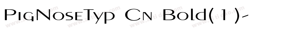 PigNoseTyp Cn Bold(1)字体转换